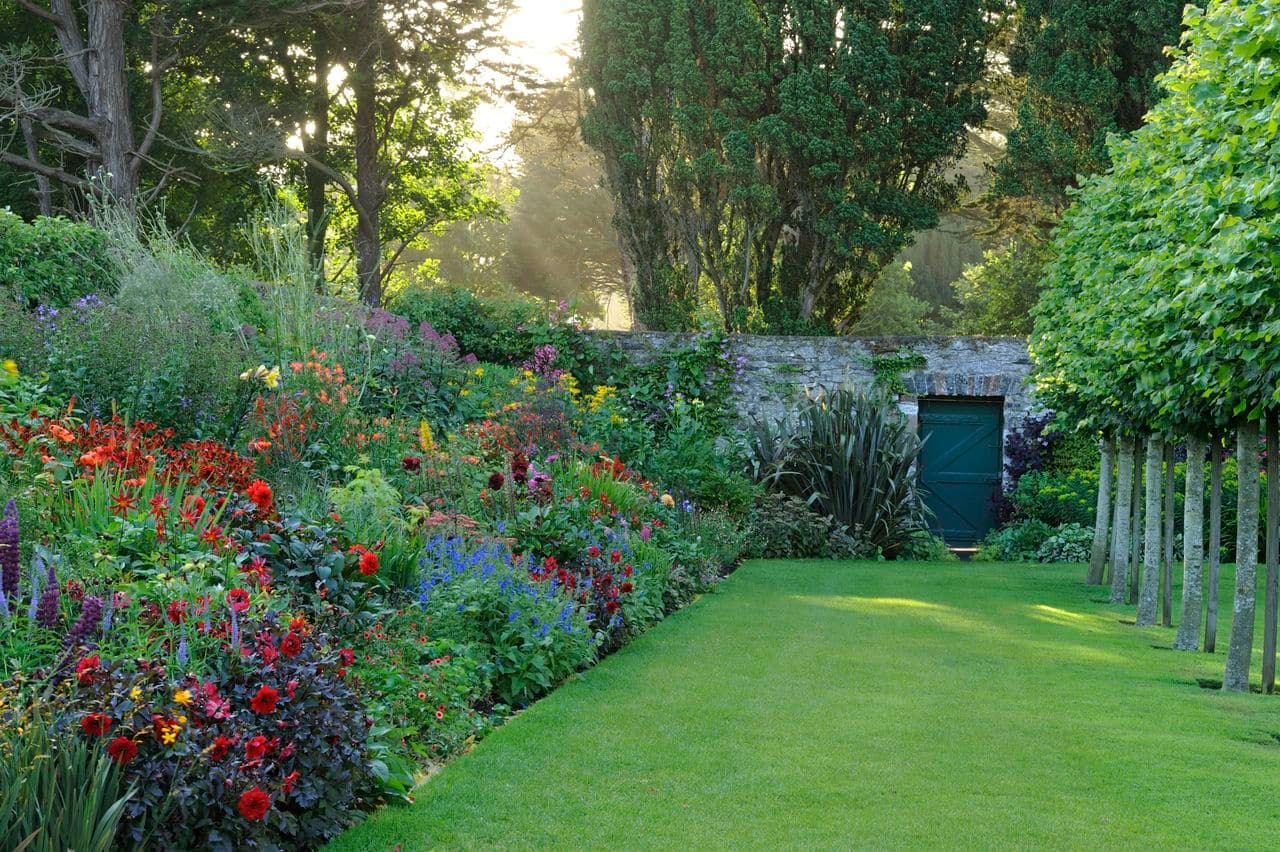 I pitted AI against a much-loved 1963 gardening book to see what to do with my little corner of Ireland — here's what happened
