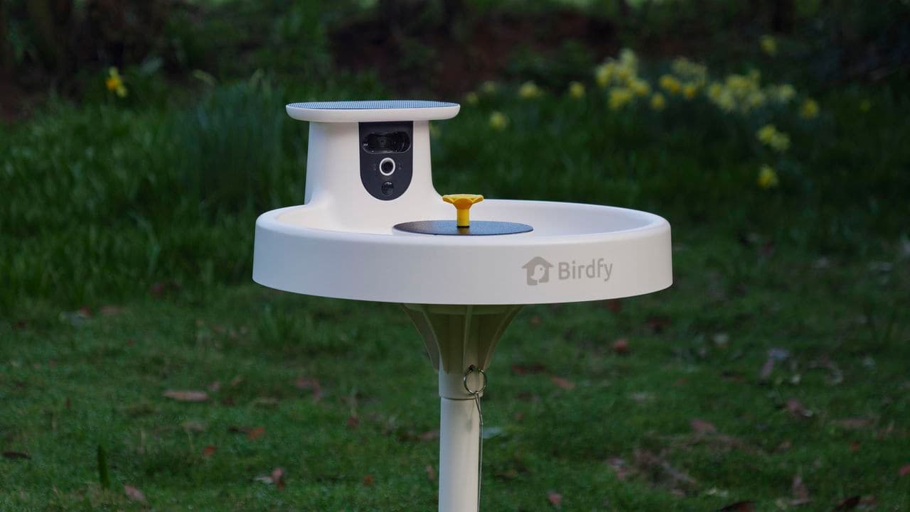 I tested the Birdfy Bird Bath Pro for a month — it’s the most entertaining bird cam yet, but there's a catch