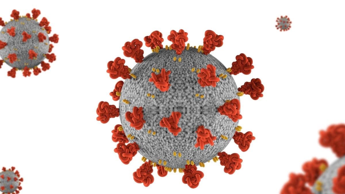 New Covid-19 Variant BA.3.2 Is Spreading and May 'Evade Immunity,' CDC Warns