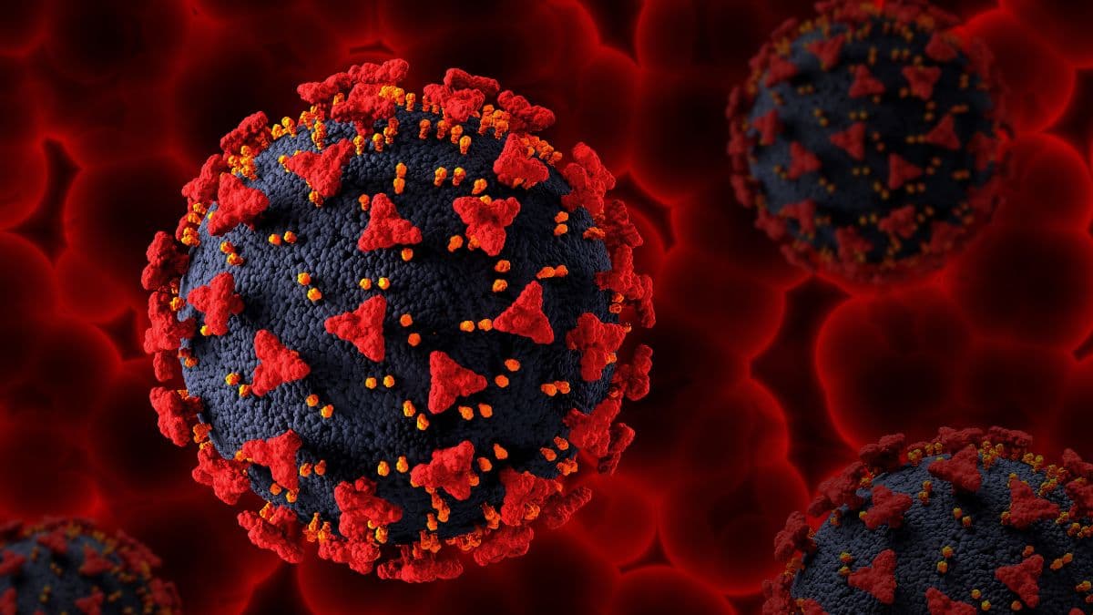 New COVID variant ‘Cicada’ spreads across US: Symptoms, spread and vaccine response