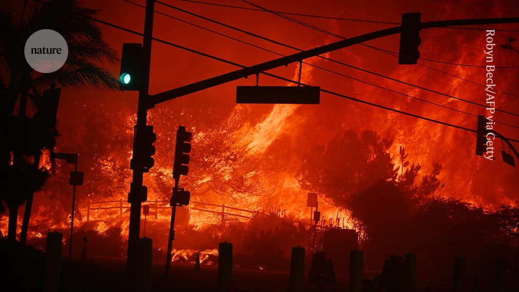 The world just lived through the 11 hottest years on record - what now?