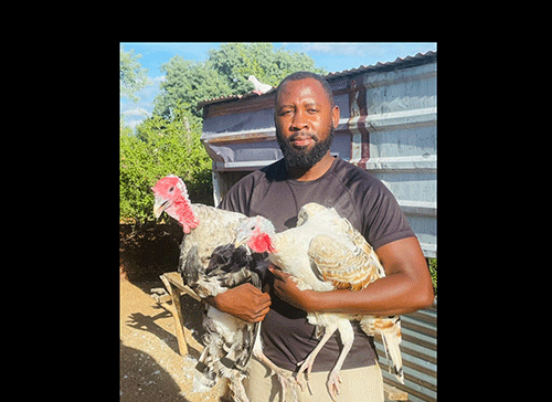 Gabriel David: Redefining the art of chicken farming ... a story of perseverance and innovation
