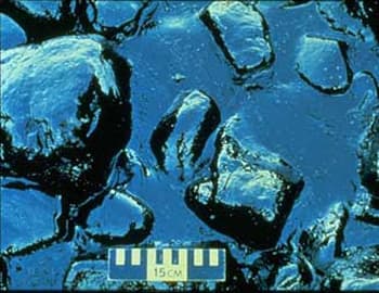 This Day in History, March 24