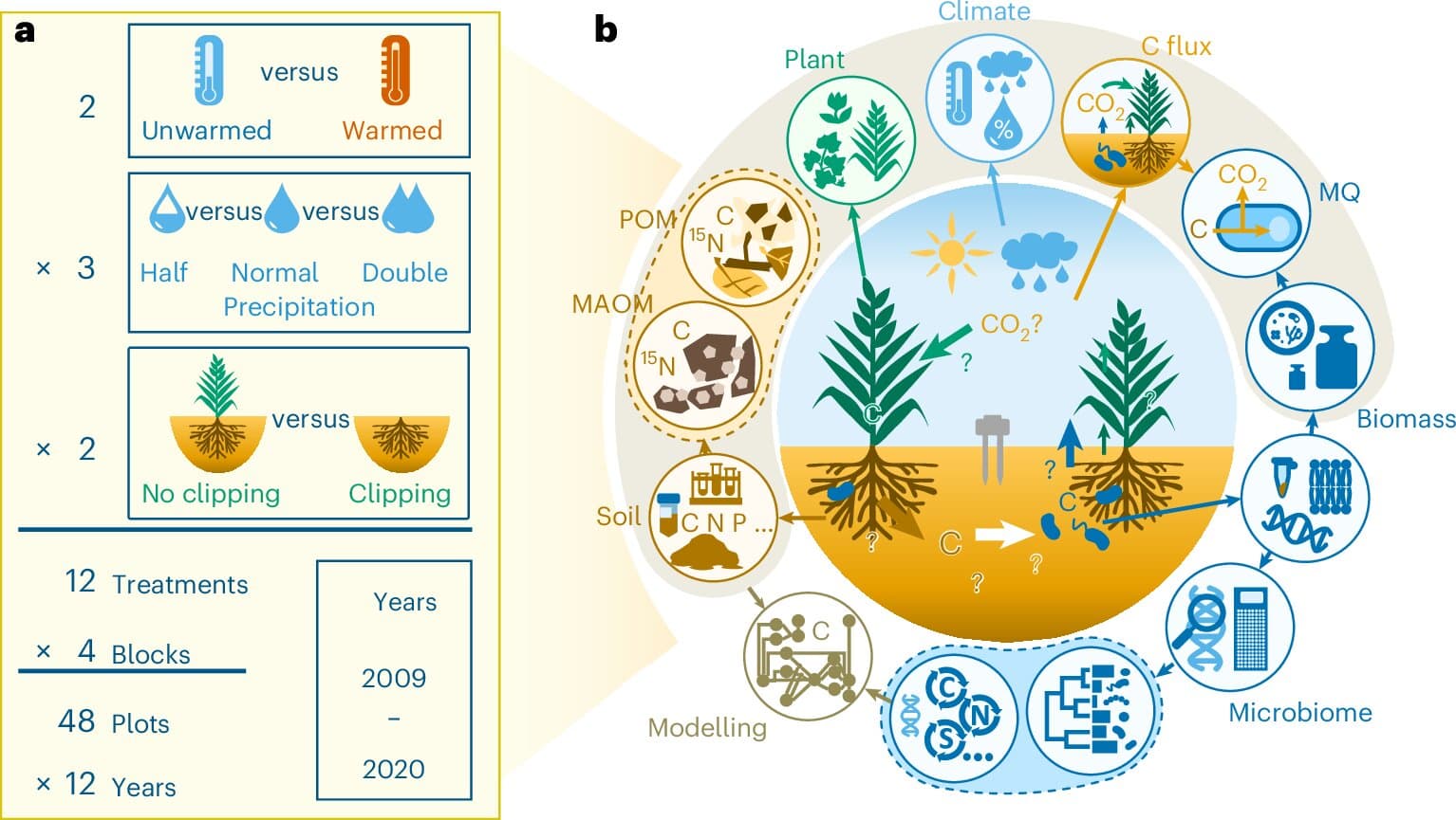 How soil microbes may control the future of our planet