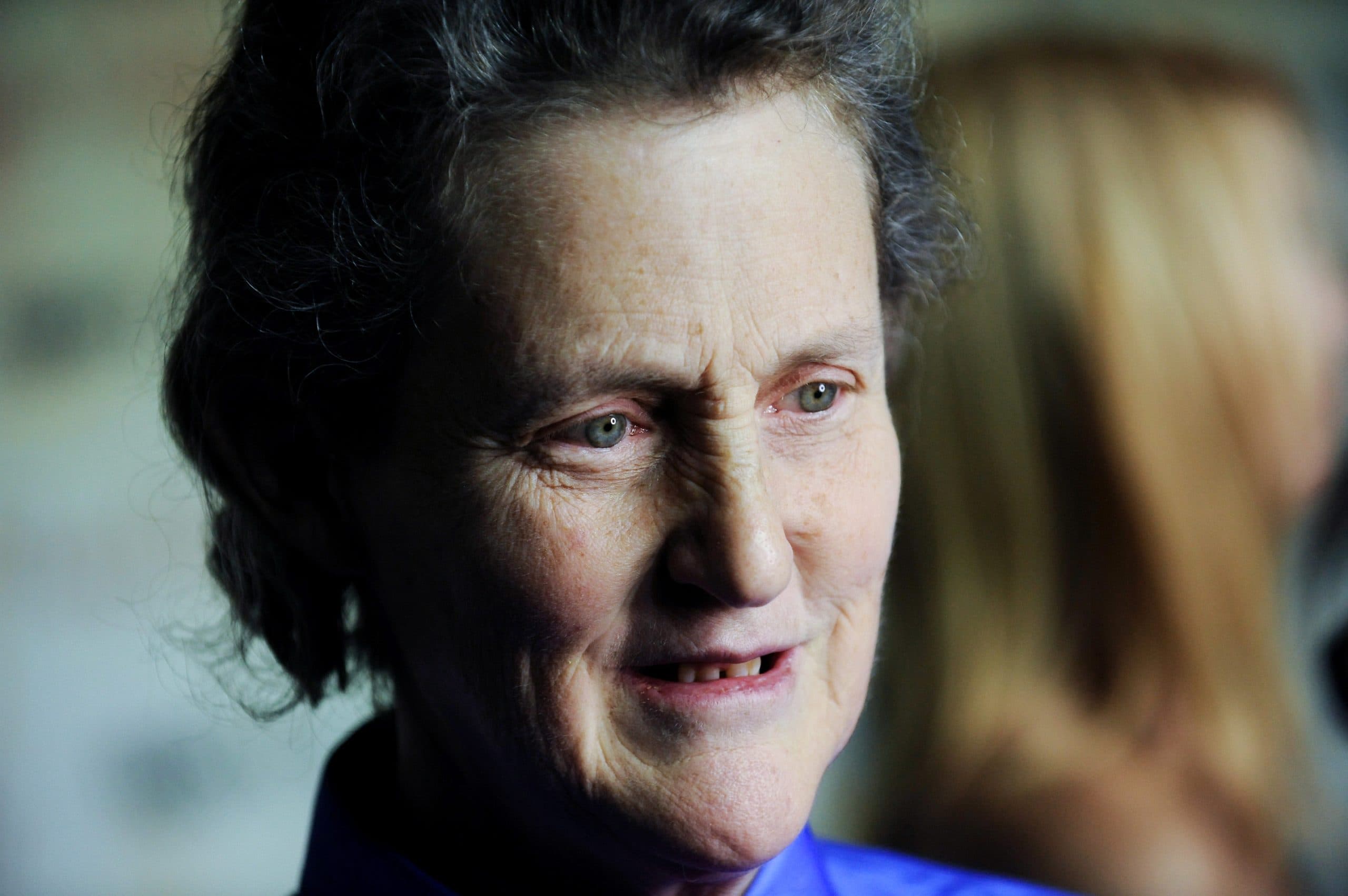 Minnesota’s sustainable farmers find an ally in livestock industry icon Temple Grandin