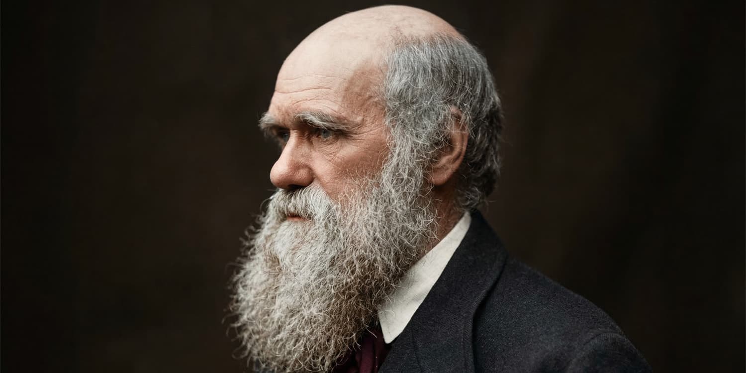 Global experiment supports Darwin’s century-old hunch about auditory aesthetics