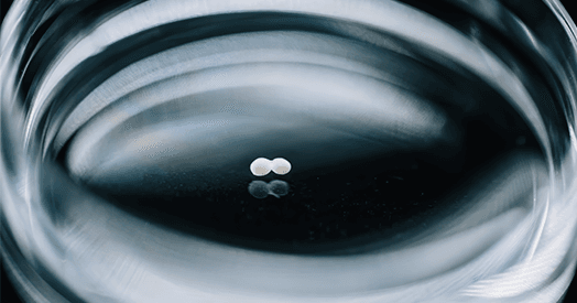 Funding for animal research alternatives at inflection point