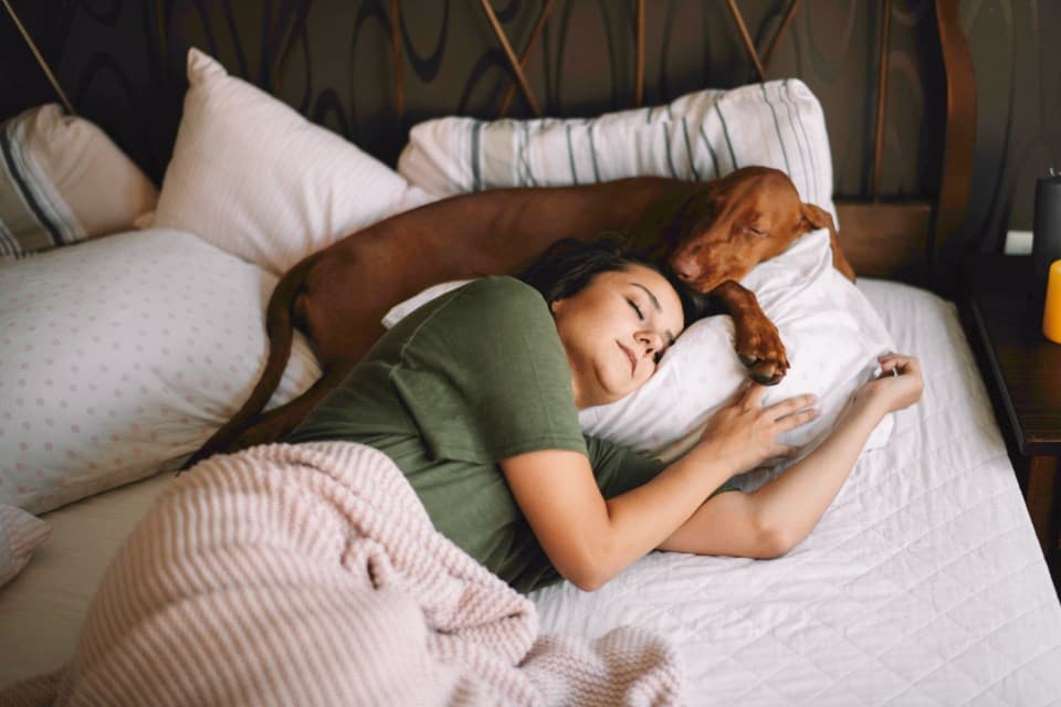 Opinion: Do you love sleeping with your pet? Science reveals there's a tricky trade-off