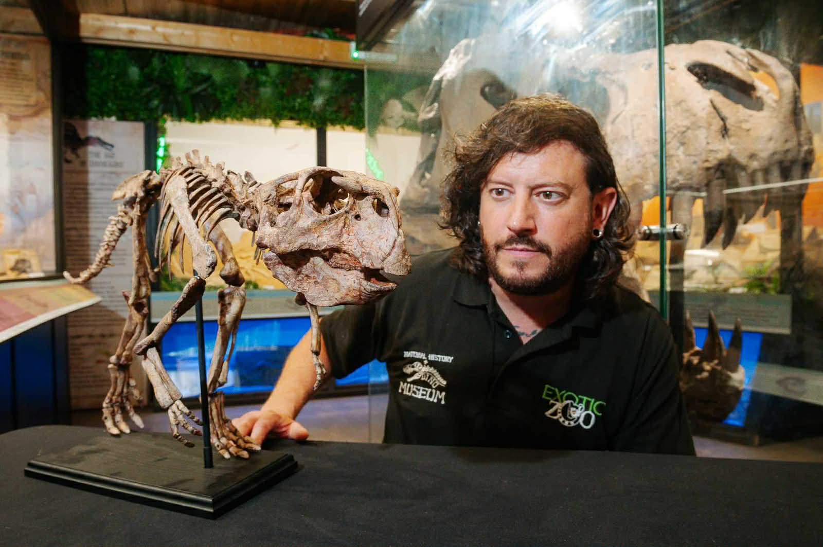 Fossil festival with dino expert announced for Telford - with free entry for kids under 2