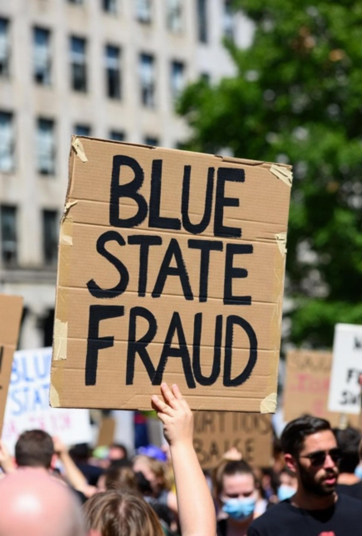 Let’s Call It Blue State Fraud - Articles