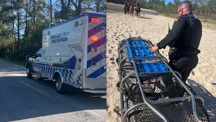 Harris County Pct. 4 deputies rescue unconscious horseback rider