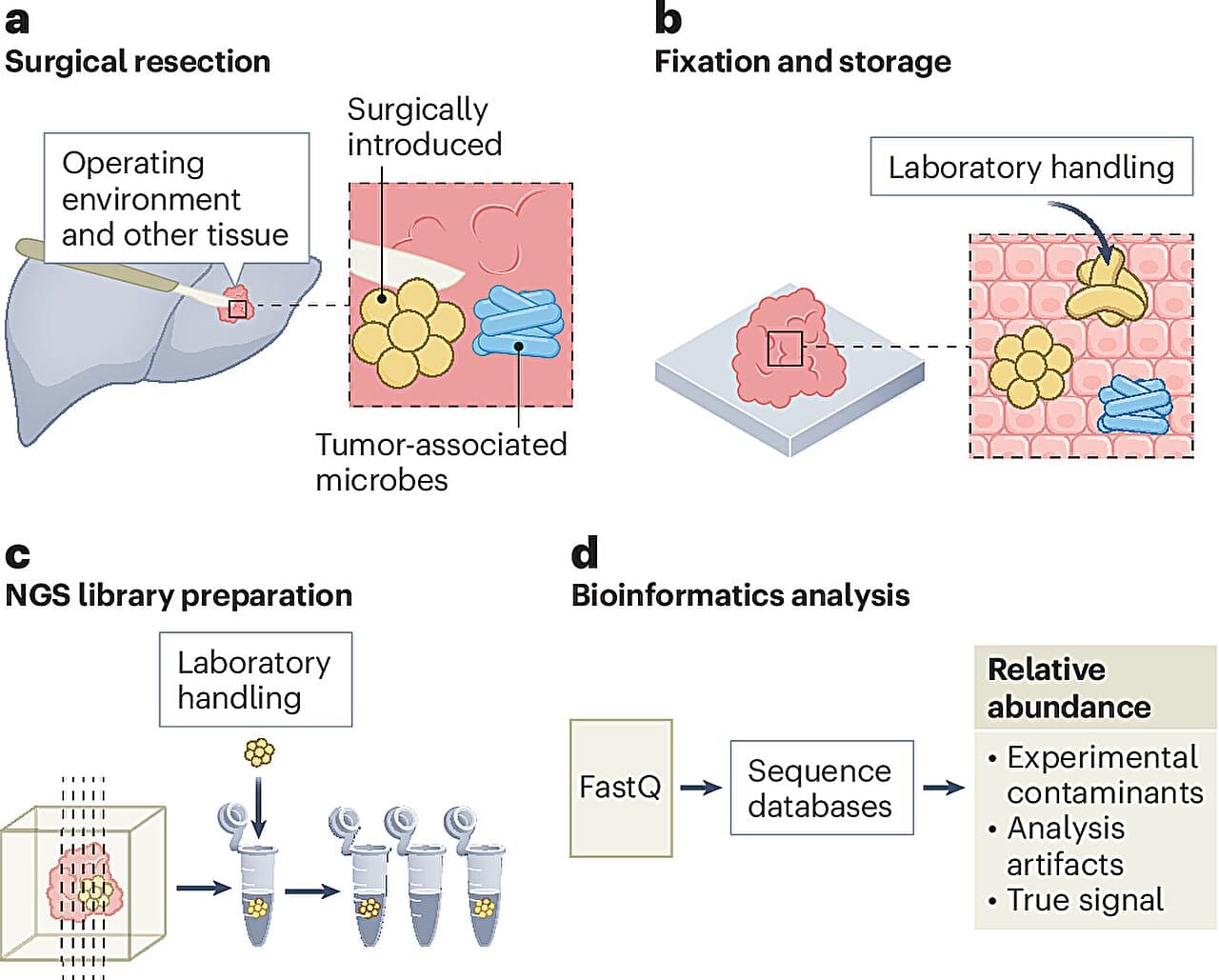 Practical recommendations to strengthen cancer microbiome research