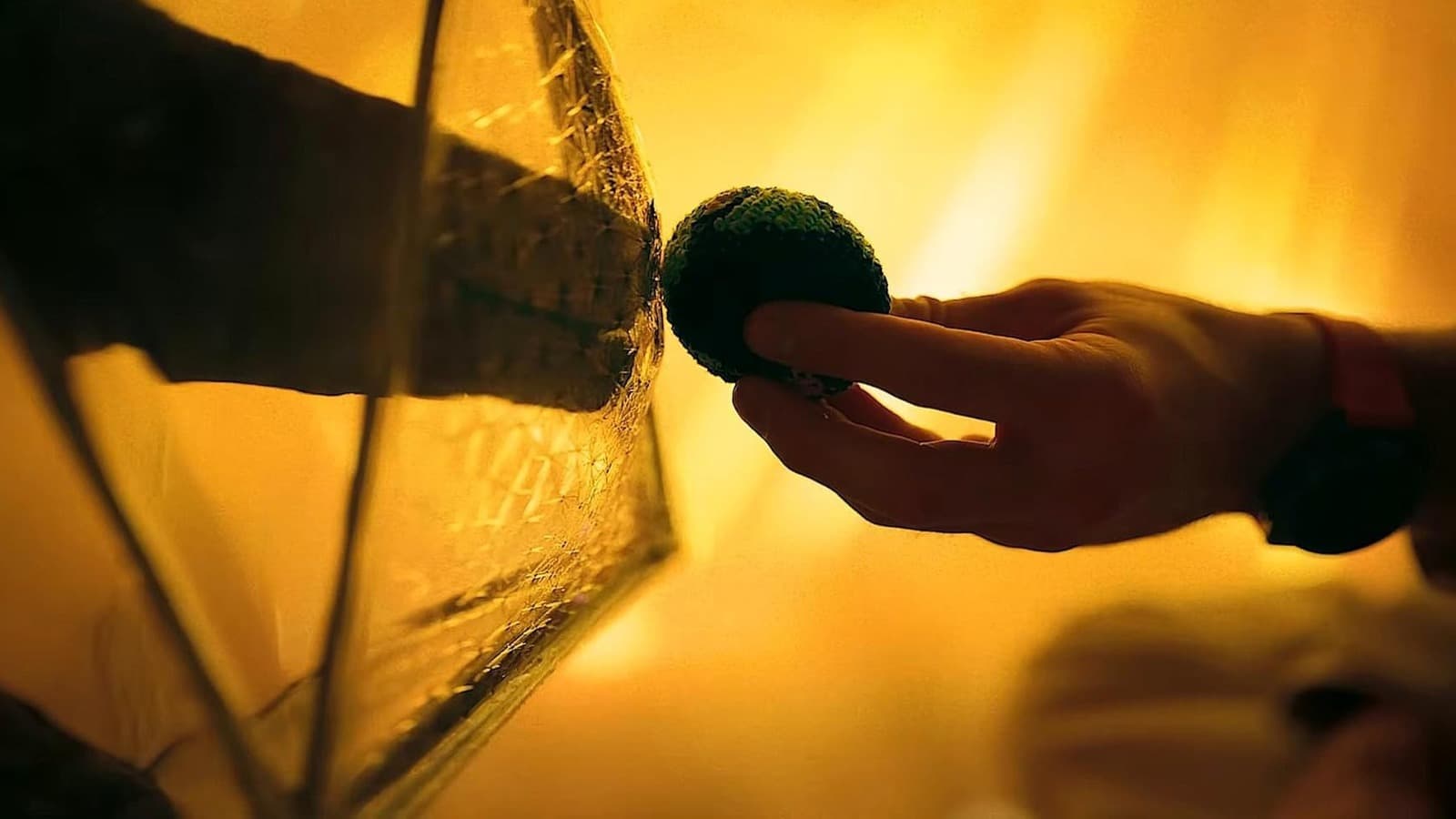 Who Voices Rocky In Ryan Gosling's Project Hail Mary