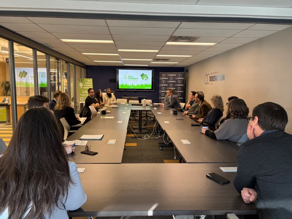 From forest to future: New accelerator backs wood-based innovation